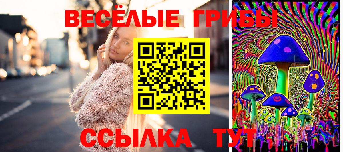 Псилоцибиновые грибы Psilocybine cubensis  Вход с VPN  Магнитогорск 